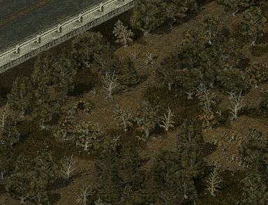 Waving trees